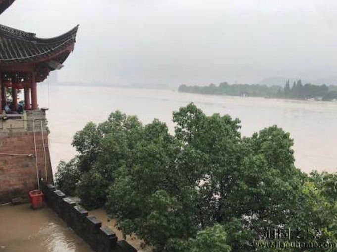 錢塘江暴發(fā)大洪水，植筋加固過的房屋能撐得住嗎