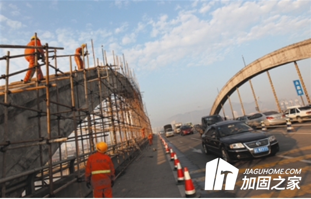 百萬螞蟻建懸空橋，橋梁加固如何進行?