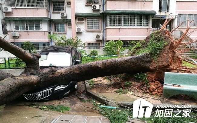 臺風(fēng)“山竹”對建筑物造成多大的影響？